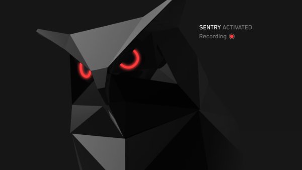 테슬라 사이버트럭 B필러 카메라 녹화 기능, 센트리 모드에 곧 추가