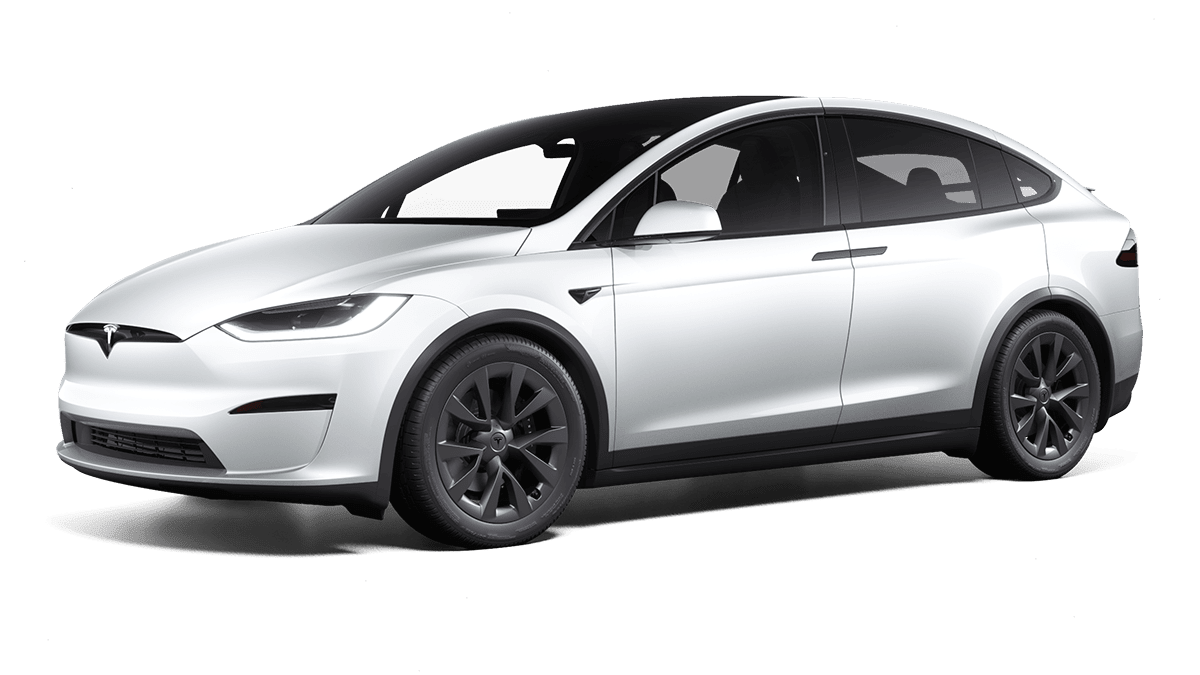 Model X Raven